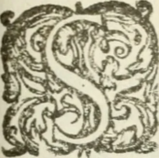 An illustration from Gabrielis Rollenhagii Selectorum emblematum centuria secunda, 1613, leaf 8