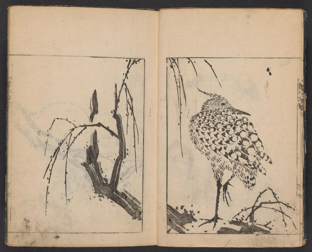 An illustration from Gakō senran, 1740, leaf 6