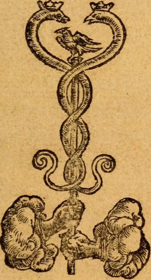 An illustration from Galenime dicorvm Exhortatio ad bonas arteis, praesertim medicinam, de optimo docendi genere, & quale oporteat esse medicu, 1526, leaf 6