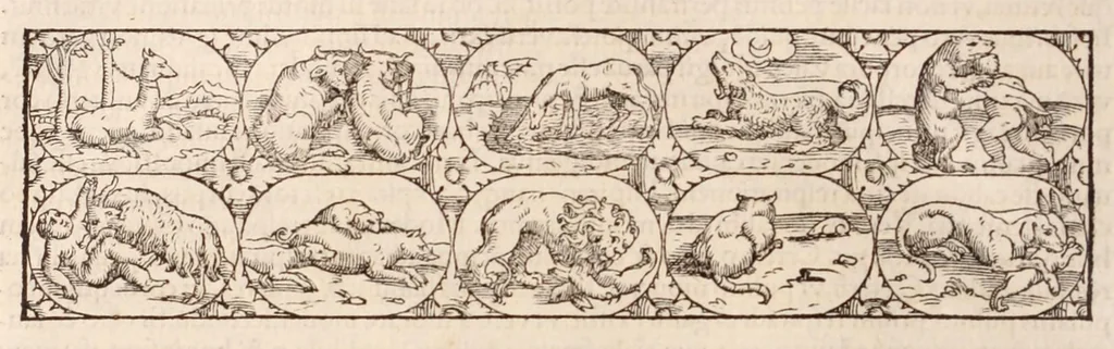 An illustration from Galeni omnia quae extant opera : in latinum sermonem conuersa, 1565, leaf 1038