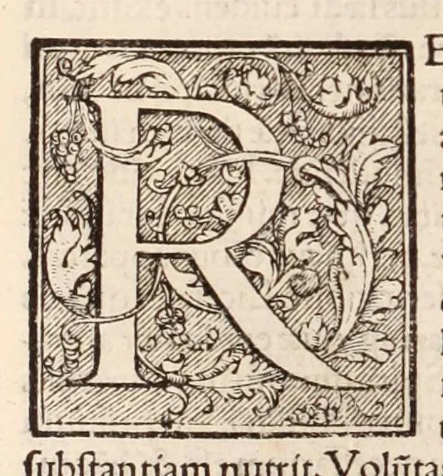 An illustration from Galeni omnia quae extant opera : in latinum sermonem conuersa, 1565, leaf 1038