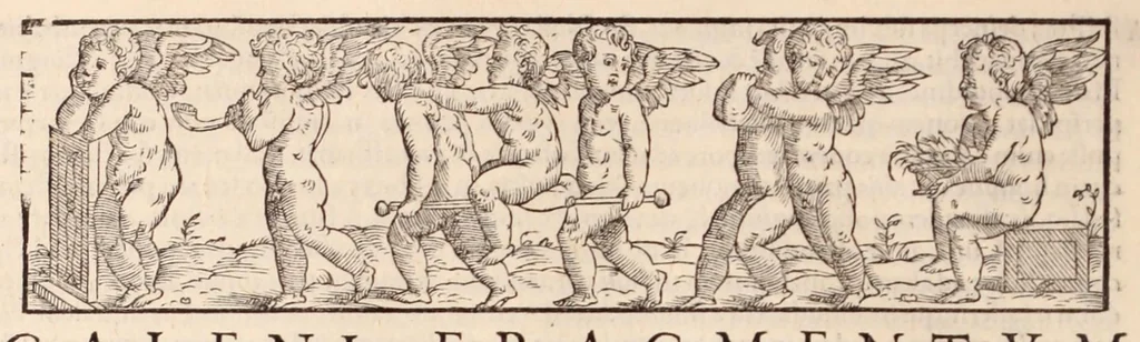 An illustration from Galeni omnia quae extant opera : in latinum sermonem conuersa, 1565, leaf 1158