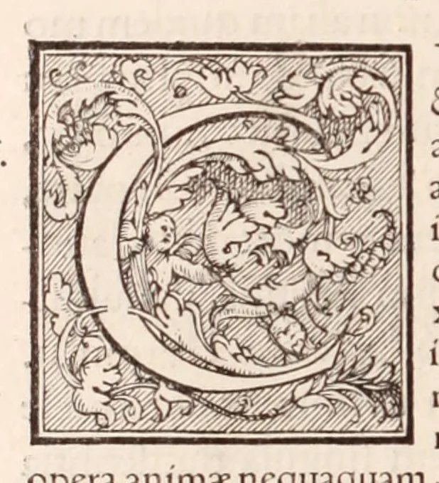 An illustration from Galeni omnia quae extant opera : in latinum sermonem conuersa, 1565, leaf 1166