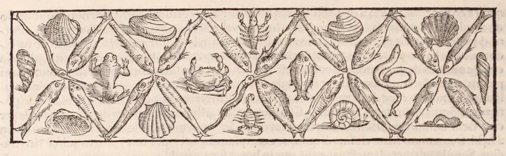 An illustration from Galeni omnia quae extant opera : in latinum sermonem conuersa, 1565, leaf 1202