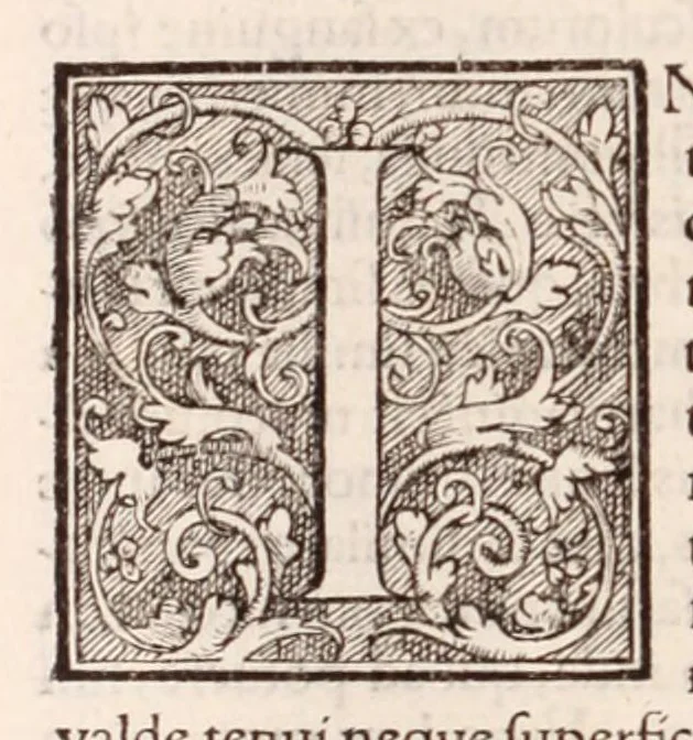 An illustration from Galeni omnia quae extant opera : in latinum sermonem conuersa, 1565, leaf 1202