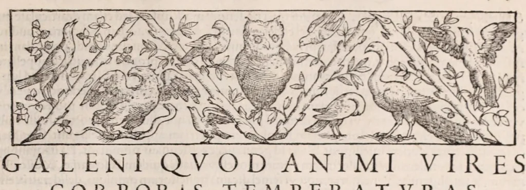An illustration from Galeni omnia quae extant opera : in latinum sermonem conuersa, 1565, leaf 1219