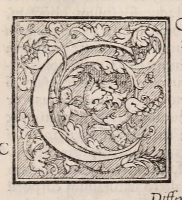An illustration from Galeni omnia quae extant opera : in latinum sermonem conuersa, 1565, leaf 1219