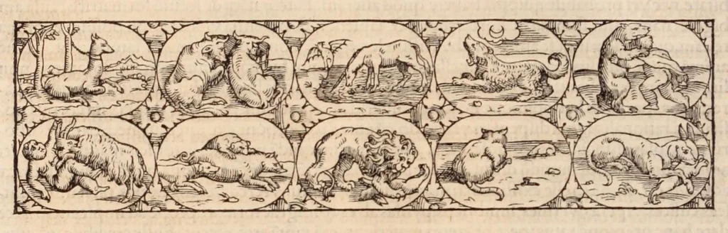 An illustration from Galeni omnia quae extant opera : in latinum sermonem conuersa, 1565, leaf 1238