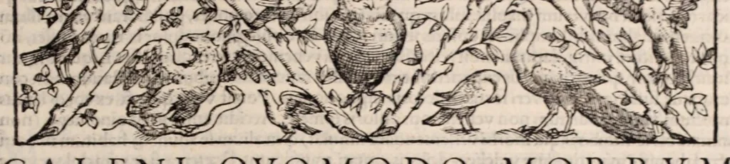 An illustration from Galeni omnia quae extant opera : in latinum sermonem conuersa, 1565, leaf 167