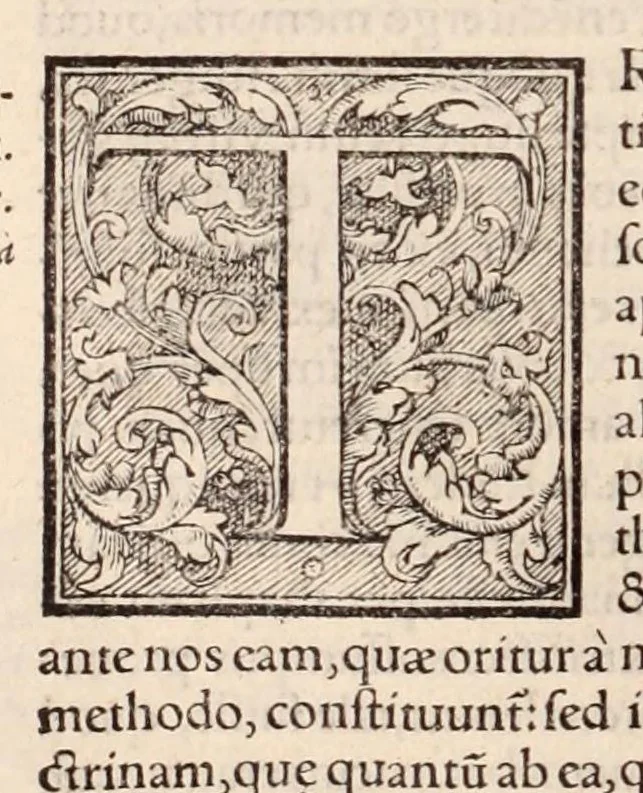 An illustration from Galeni omnia quae extant opera : in latinum sermonem conuersa, 1565, leaf 168