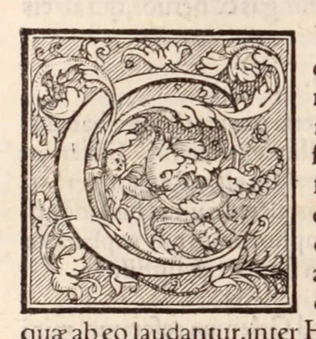An illustration from Galeni omnia quae extant opera : in latinum sermonem conuersa, 1565, leaf 312