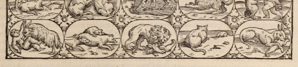 An illustration from Galeni omnia quae extant opera : in latinum sermonem conuersa, 1565, leaf 351