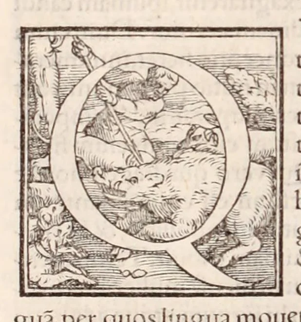 An illustration from Galeni omnia quae extant opera : in latinum sermonem conuersa, 1565, leaf 432