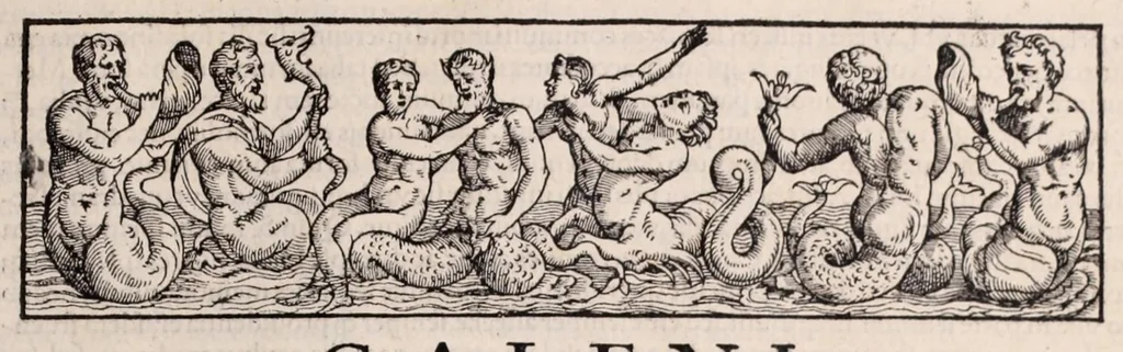 An illustration from Galeni omnia quae extant opera : in latinum sermonem conuersa, 1565, leaf 49
