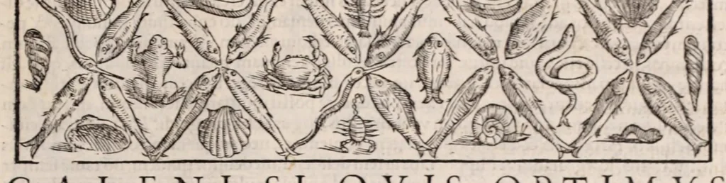 An illustration from Galeni omnia quae extant opera : in latinum sermonem conuersa, 1565, leaf 57