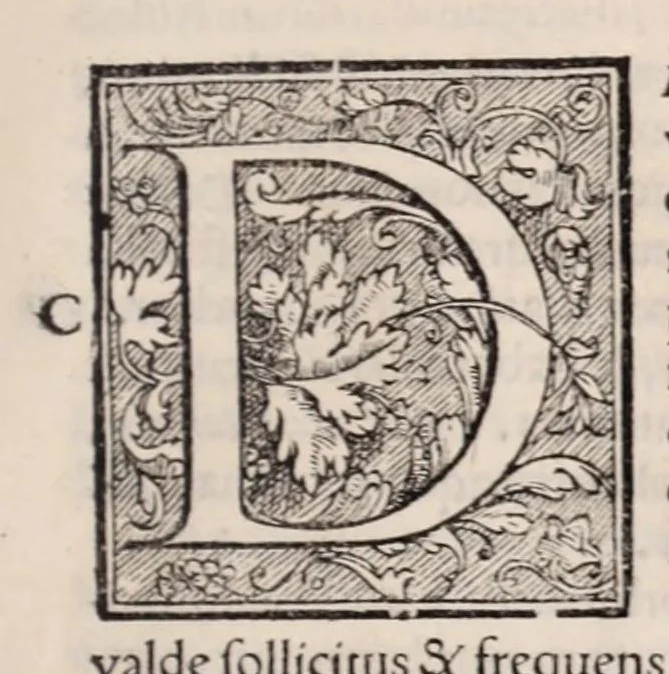 An illustration from Galeni omnia quae extant opera : in latinum sermonem conuersa, 1565, leaf 581