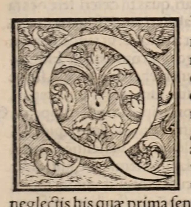 An illustration from Galeni omnia quae extant opera : in latinum sermonem conuersa, 1565, leaf 589