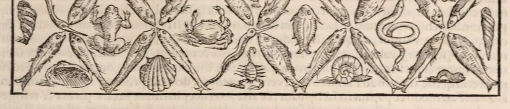 An illustration from Galeni omnia quae extant opera : in latinum sermonem conuersa, 1565, leaf 605