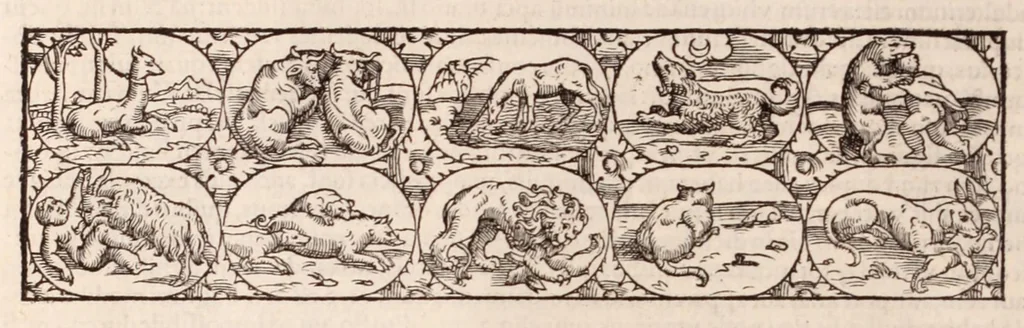 An illustration from Galeni omnia quae extant opera : in latinum sermonem conuersa, 1565, leaf 62