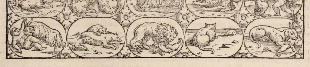 An illustration from Galeni omnia quae extant opera : in latinum sermonem conuersa, 1565, leaf 653