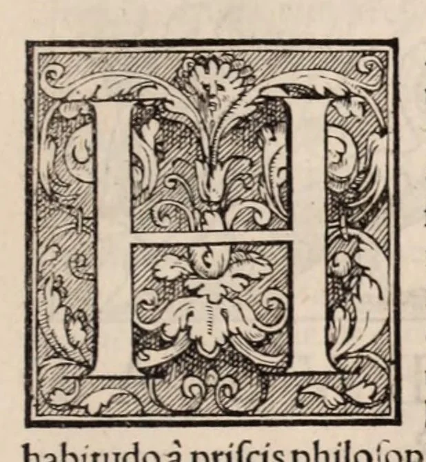 An illustration from Galeni omnia quae extant opera : in latinum sermonem conuersa, 1565, leaf 663