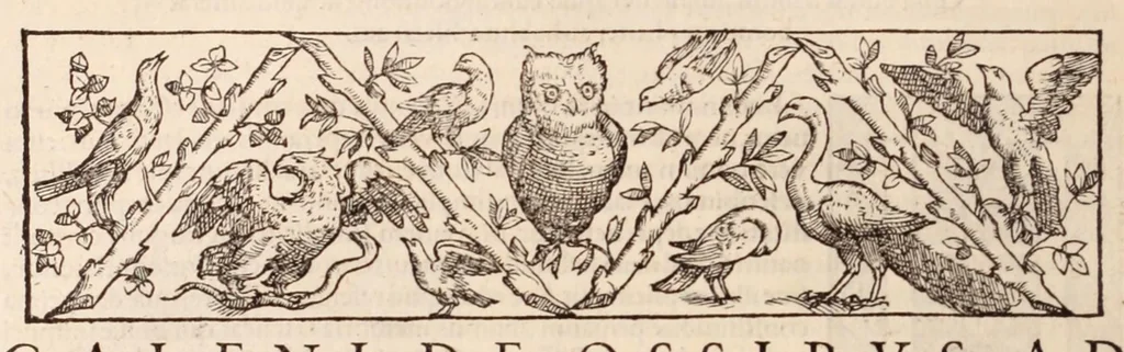 An illustration from Galeni omnia quae extant opera : in latinum sermonem conuersa, 1565, leaf 664
