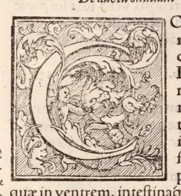 An illustration from Galeni omnia quae extant opera : in latinum sermonem conuersa, 1565, leaf 696