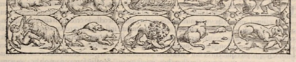 An illustration from Galeni omnia quae extant opera : in latinum sermonem conuersa, 1565, leaf 711