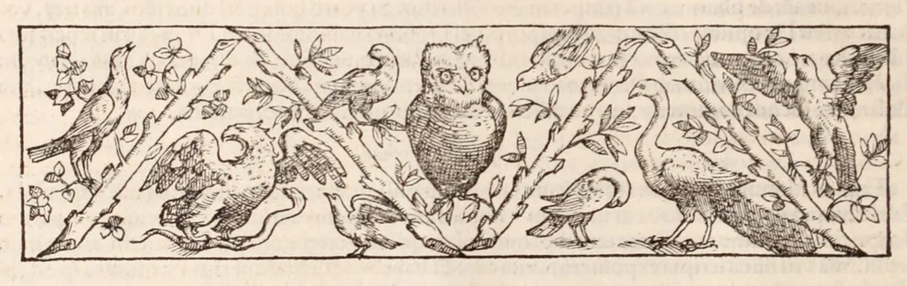An illustration from Galeni omnia quae extant opera : in latinum sermonem conuersa, 1565, leaf 76
