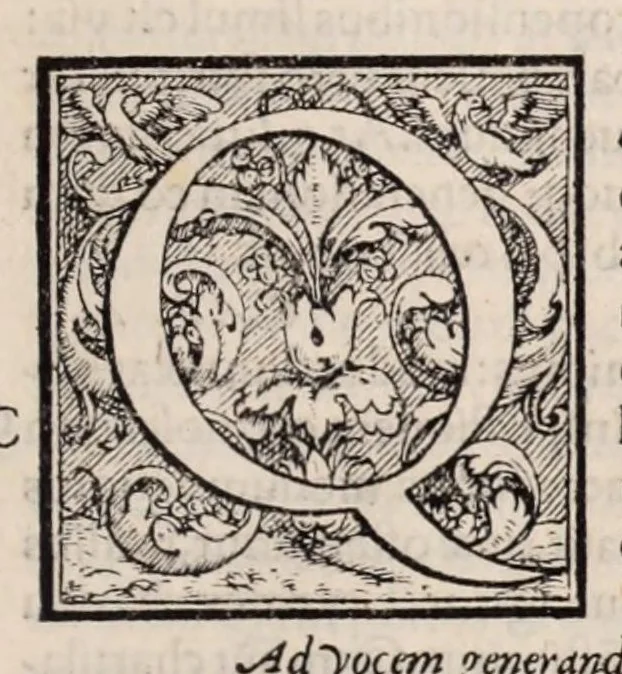 An illustration from Galeni omnia quae extant opera : in latinum sermonem conuersa, 1565, leaf 797