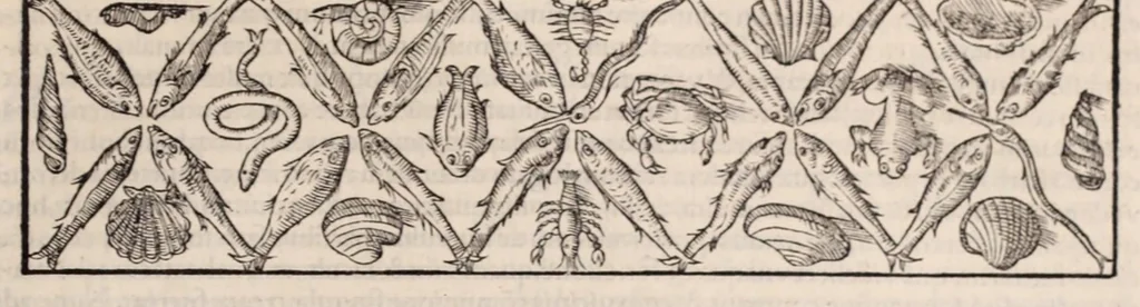 An illustration from Galeni omnia quae extant opera : in latinum sermonem conuersa, 1565, leaf 801