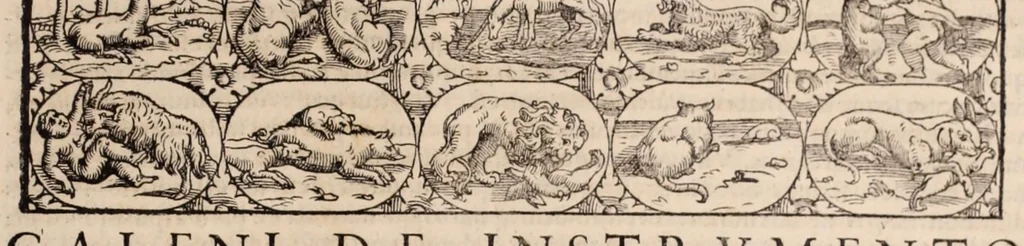 An illustration from Galeni omnia quae extant opera : in latinum sermonem conuersa, 1565, leaf 805