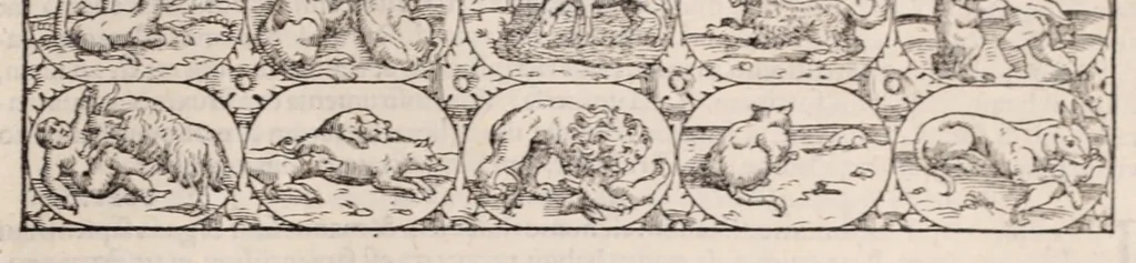 An illustration from Galeni omnia quae extant opera : in latinum sermonem conuersa, 1565, leaf 811