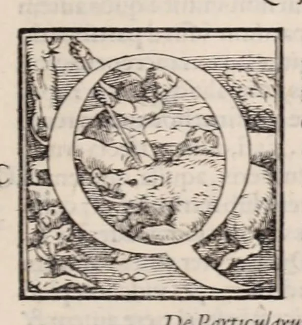 An illustration from Galeni omnia quae extant opera : in latinum sermonem conuersa, 1565, leaf 811