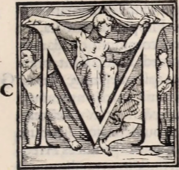 An illustration from Galeni omnia quae extant opera : in latinum sermonem conuersa, 1565, leaf 1016