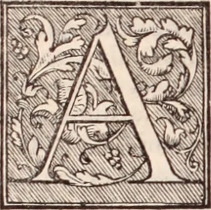 An illustration from Galeni omnia quae extant opera : in latinum sermonem conuersa, 1565, leaf 1033