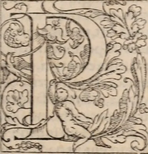 An illustration from Galeni omnia quae extant opera : in latinum sermonem conuersa, 1565, leaf 104
