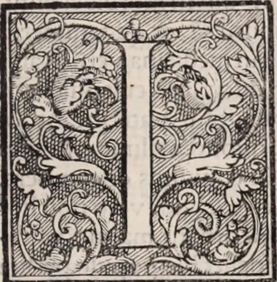 An illustration from Galeni omnia quae extant opera : in latinum sermonem conuersa, 1565, leaf 1064