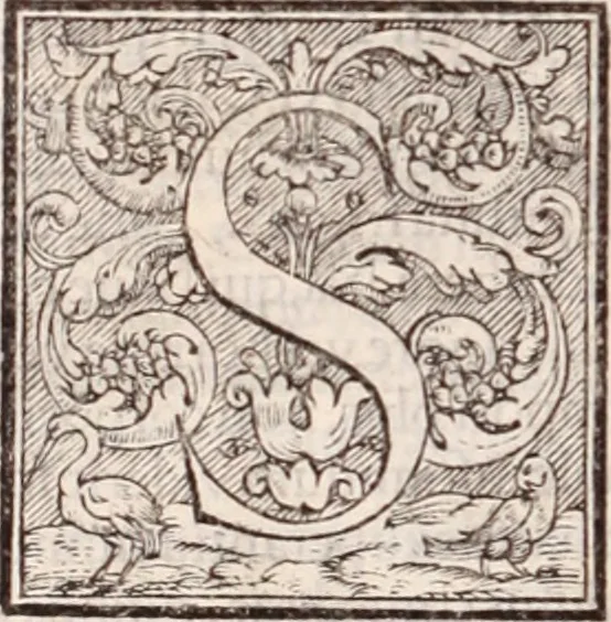 An illustration from Galeni omnia quae extant opera : in latinum sermonem conuersa, 1565, leaf 1065