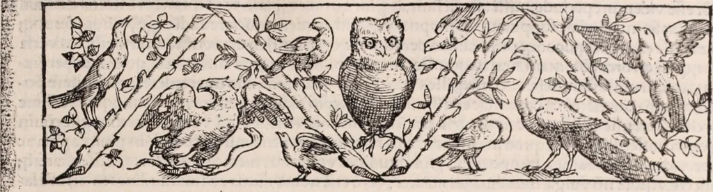 An illustration from Galeni omnia quae extant opera : in latinum sermonem conuersa, 1565, leaf 116