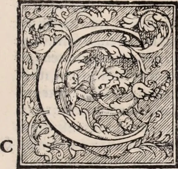An illustration from Galeni omnia quae extant opera : in latinum sermonem conuersa, 1565, leaf 116