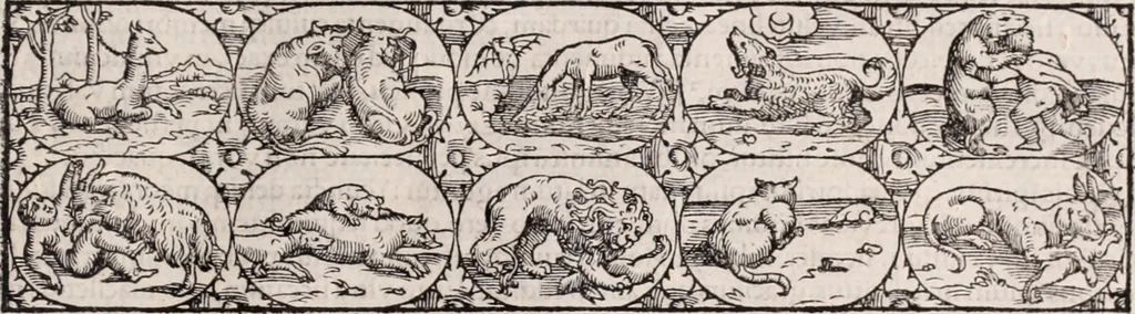 An illustration from Galeni omnia quae extant opera : in latinum sermonem conuersa, 1565, leaf 128