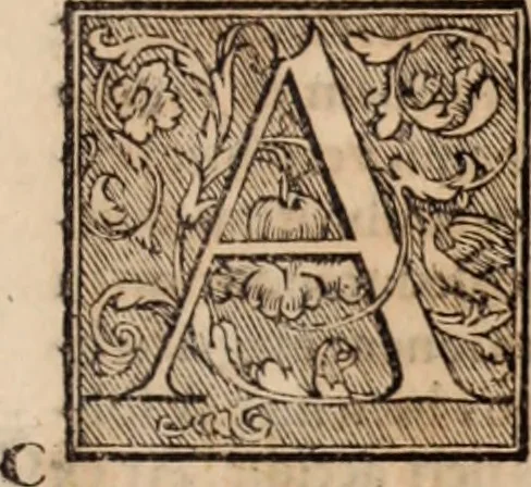 An illustration from Galeni omnia quae extant opera : in latinum sermonem conuersa, 1565, leaf 142