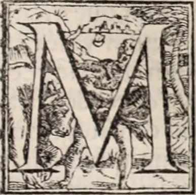 An illustration from Galeni omnia quae extant opera : in latinum sermonem conuersa, 1565, leaf 156