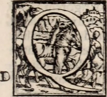 An illustration from Galeni omnia quae extant opera : in latinum sermonem conuersa, 1565, leaf 168
