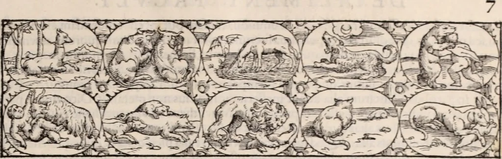 An illustration from Galeni omnia quae extant opera : in latinum sermonem conuersa, 1565, leaf 18
