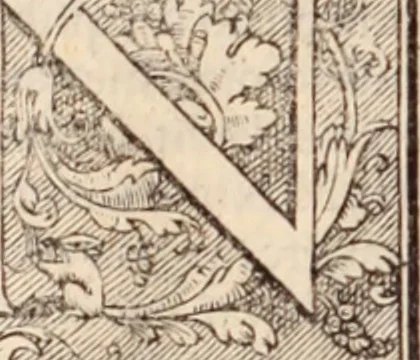 An illustration from Galeni omnia quae extant opera : in latinum sermonem conuersa, 1565, leaf 207