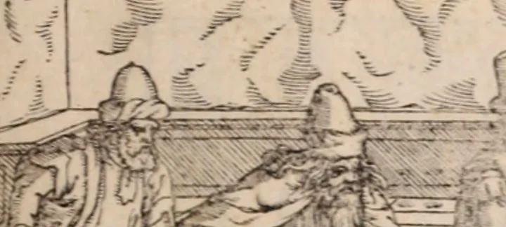 An illustration from Galeni omnia quae extant opera : in latinum sermonem conuersa, 1565, leaf 226