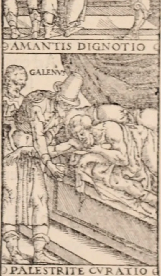 An illustration from Galeni omnia quae extant opera : in latinum sermonem conuersa, 1565, leaf 226