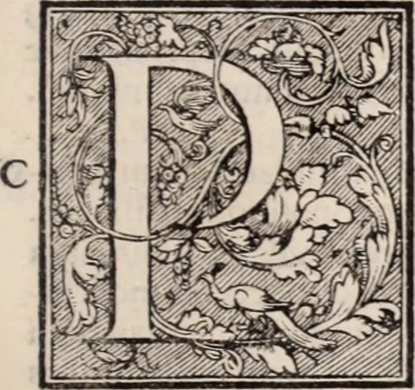 An illustration from Galeni omnia quae extant opera : in latinum sermonem conuersa, 1565, leaf 228